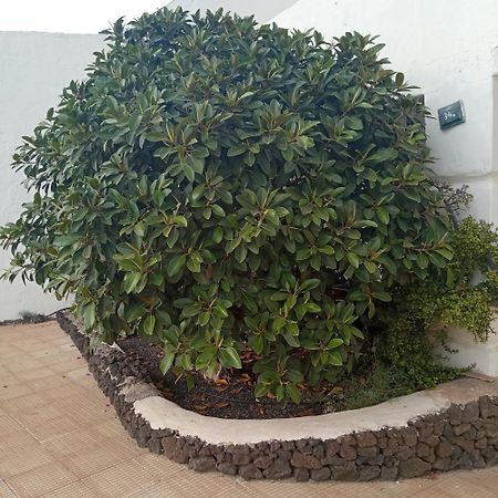 Aguas Verdes Betancuría المظهر الخارجي الصورة