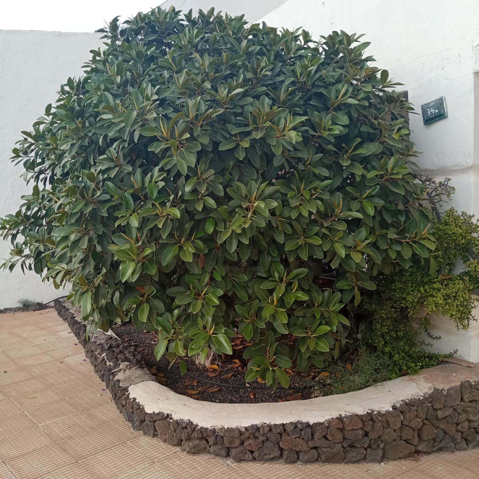 Aguas Verdes Betancuría المظهر الخارجي الصورة